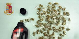 Napoli, droga nella cabina elettrica e nell’aiuola: sequestro a Secondigliano