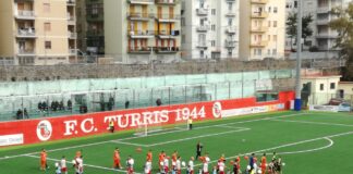 la turris diventa una srl