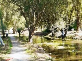rio foce