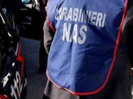 nas palma campania