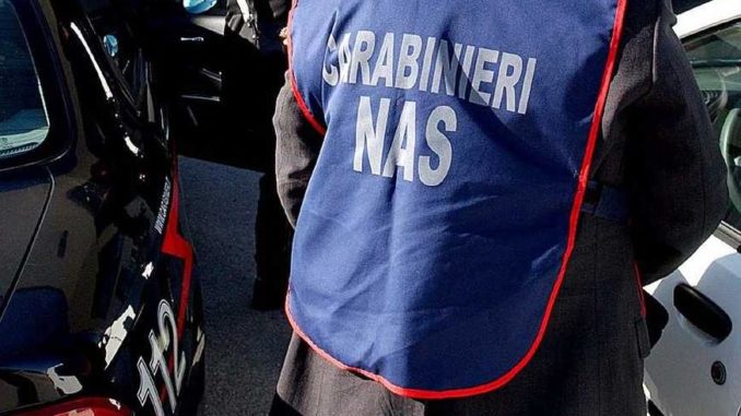 Palma Campania: ristoratore sanzionato per carenze igienico sanitarie Palma Campania: ristoratore sanzionato per carenze igienico sanitarie