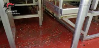 Rifiuti e scarti industriali nel fiume Sarno e poi in mare: due imprenditori denunciati