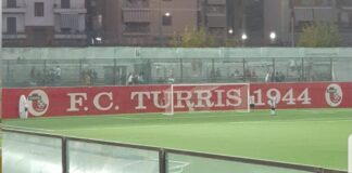 turris team manager