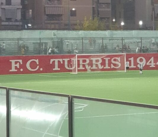 turris team manager
