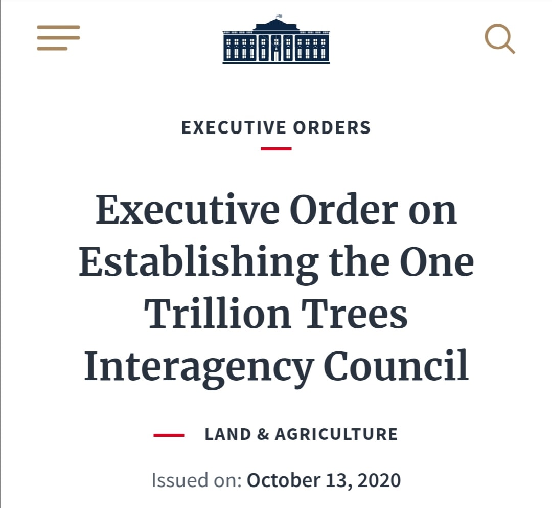 Trump istituisce un Consiglio di interagenzia degli Stati Uniti per un trilione di alberi.