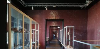 Castellammare, Gaetano Cimmino: “Il Museo Archeologico sempre più fiore all’occhiello della città” museo archeologico libero d'orsi castellammare