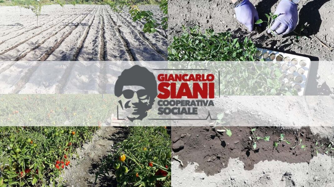 coop siani ercolano