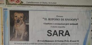 manifesto cane castellammare