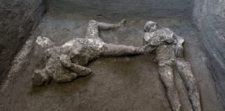 Scavi di Pompei, l’eccezionale scoperta: i corpi integri di due fuggiaschi Scavi di Pompei scheletri