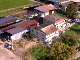 terra dei fuochi action day