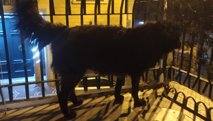 nerone castellammare di stabia
