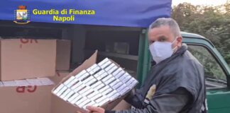 operazione red queen napoli