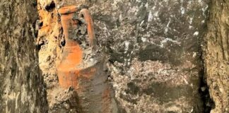Scavi di Pompei, nuove scoperte: anfore vinarie nel termopolio scavi di pompei anfora scavo