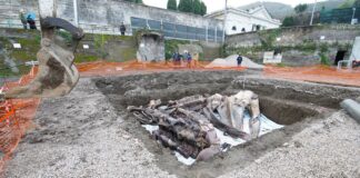 sorrento balena interrata