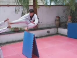 Taekwondo Torneo Nazionale online “The Olymic Dream – Art Tournament “