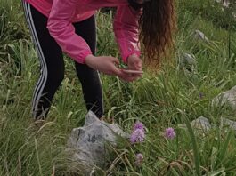 Gragnano, tutela della biodiversità e futuro del pianeta: convegno venerdì 24 maggio al Museo Cites