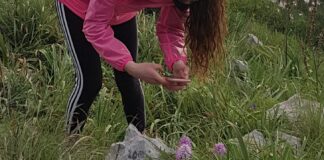 Gragnano, tutela della biodiversità e futuro del pianeta: convegno venerdì 24 maggio al Museo Cites