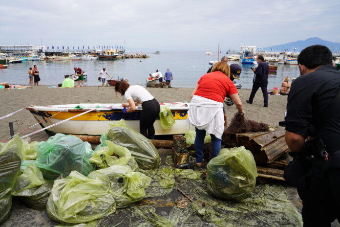 0ecdbf6e-65a3-4cde-8229-6c760611ed8b