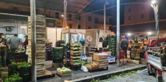 mercato ortofrutticolo castellammare