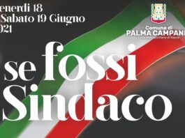 se fossi sindaco