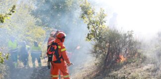 In Regione Campania formati 120 professionisti abilitati nella progettazione e direzione di cantieri di “fuoco prescritto”