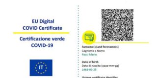 Il Garante Privacy avvia indagine per i Green pass trovati online. Mandato alla Guardia di Finanza