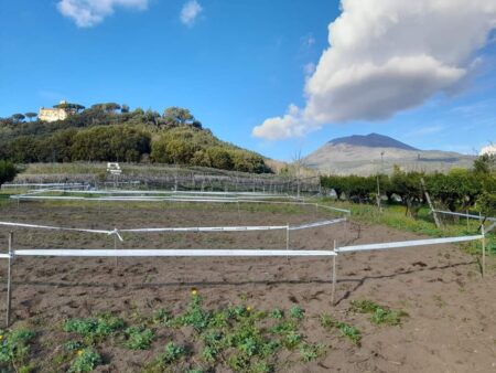 Vesuvio Ciclocross