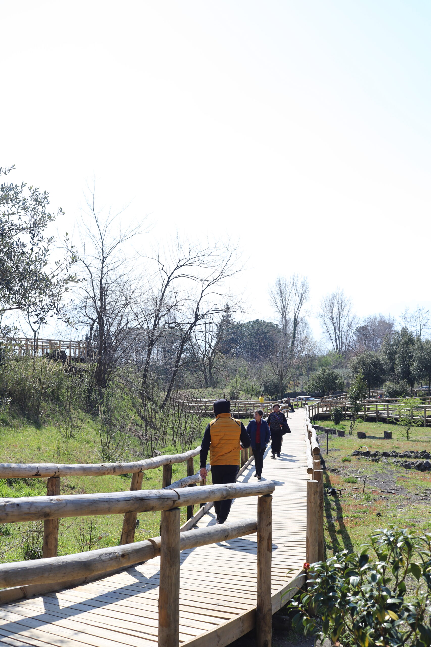 Grande Progetto Vesuvio inaugurato il 30 marzo il Sentiero numero 11 “La Pineta di Terzigno”