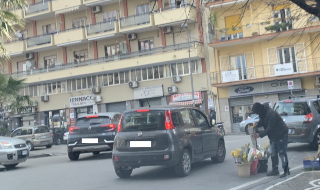 castellammare abusivi mimose
