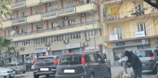 Napoli, vendevano in strada fasci di mimose: 12 segnalati castellammare abusivi mimose