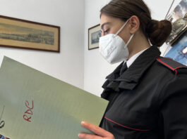 reddito di cittadinanza carabinieri