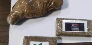 torre annunziata finanza droga