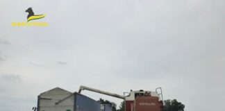 pirati grano barbieri 4