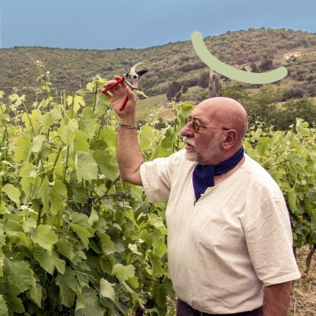 Bruno De Conciliis tempa di zoè 2