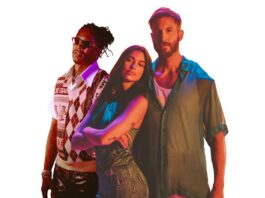 Potion calvin harris