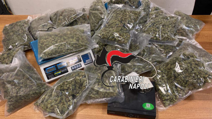 torre annunziata carabinieri marijuana