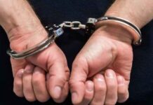 Disastro ambientale in penisola sorrentina, condanne definitive per la pesca illegale Disastro ambientale in penisola sorrentina, condanne definitive per la pesca illegale