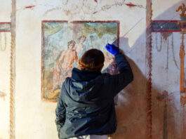 scavi di pompei CASA DEI VETTII restauro in corso--