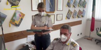 evasione fiscale napoli guardia di finanza