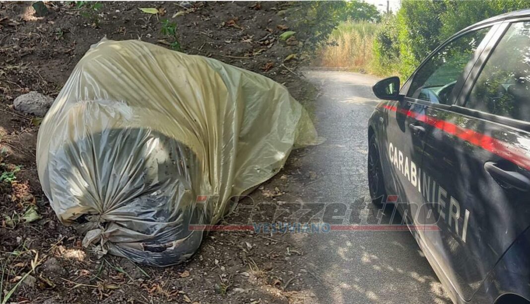 cadavere 5oenne orientale a scisciano nel sacco di plastica cadavere 5oenne orientale a scisciano nel sacco di plastica