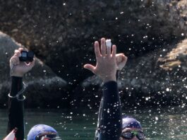 tentativi record del mondo di apnea per disabili nel mare di Scarlino