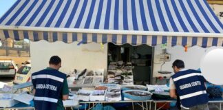 massa di somma pescheria fuorilegge guardia costiera
