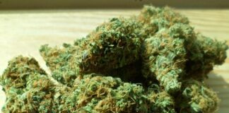 torre annunziata marijuana spaccio