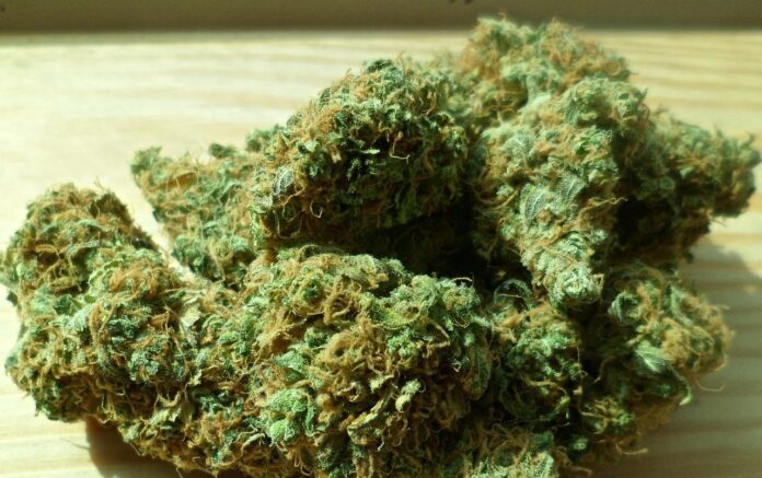 torre annunziata marijuana spaccio