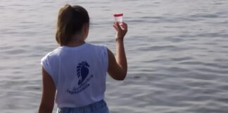 Mare e coste, Campania maglia nera nazionale: 7.970 i reati contestati nel 2021 campania mare legambiente