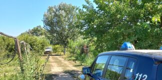A Giugliano un fondo agricolo dedicato alla marijuana: arrestato 62enne giugliano marijuana