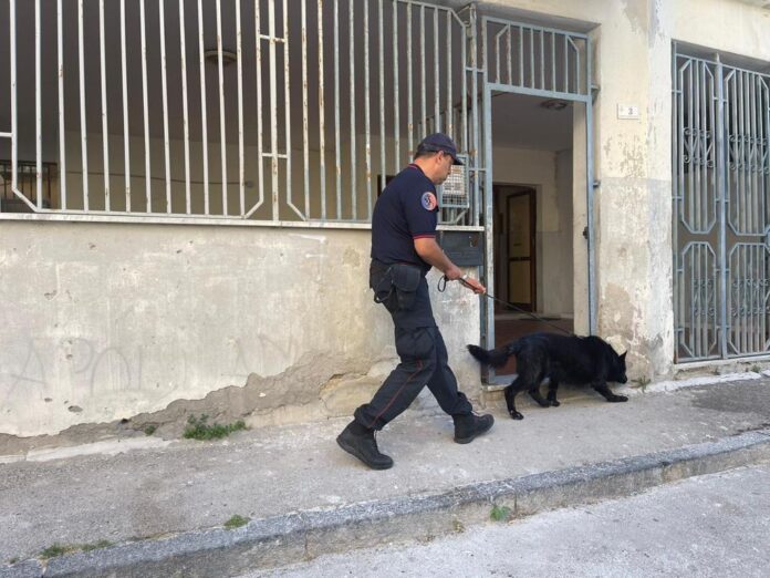 castellammare attila cane anti droga