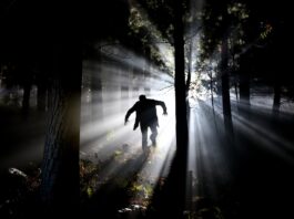 arresti stalking