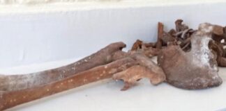 Boscoreale, ossa umane nella cappella di Sant’Antonio di Padova: la Procura apre un’inchiesta boscoreale ossa umane