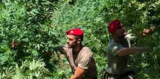 gragnano carabinieri opere abusive